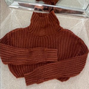 Fashion Nova Cropped Sweater